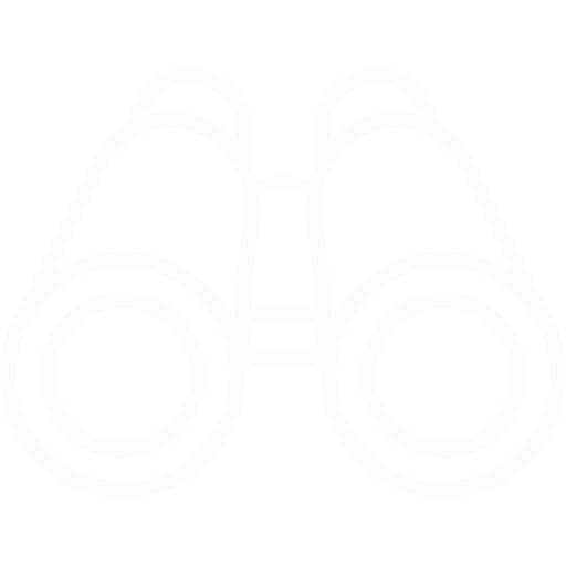 Optik